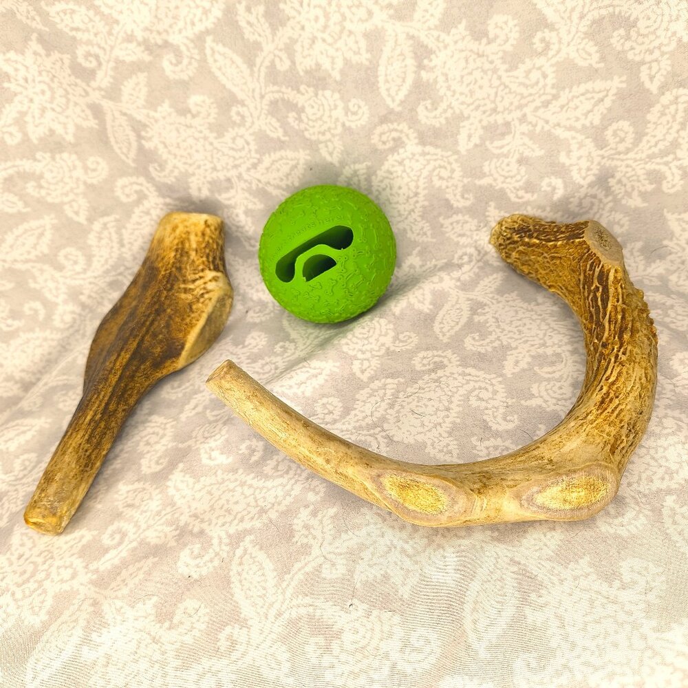 VERY gently loved 8" antlers and new treat ball